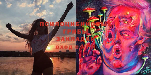 прущий лед Михайловск